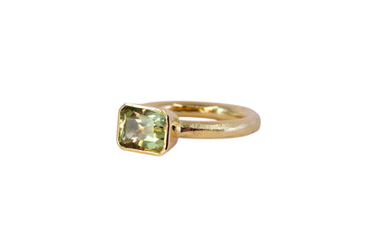 Emerald Cut Beryl Halo Band Ring